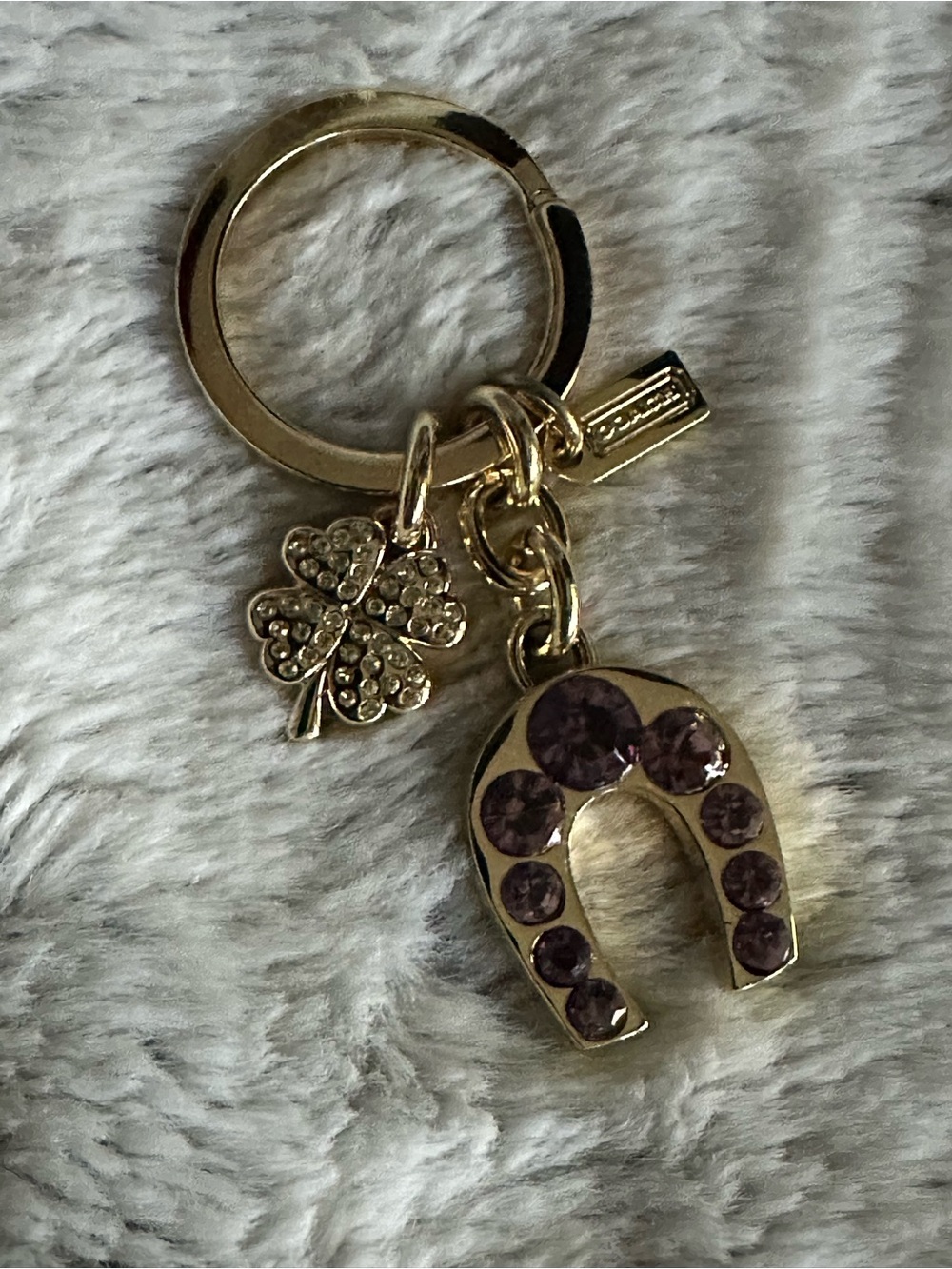 Coach Lucky Keychain